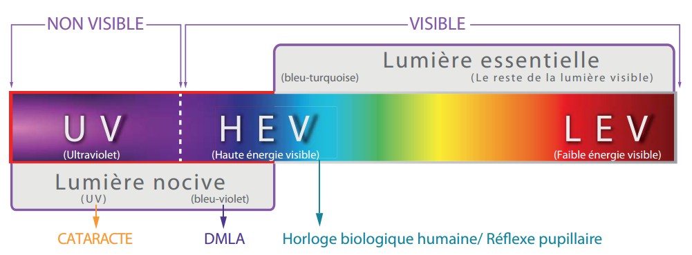 http://www.optique-du-palais.fr/medias/images/spectrum.jpg