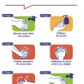 Pre conisation sanitaire 2